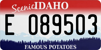 ID license plate E089503