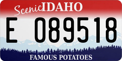 ID license plate E089518