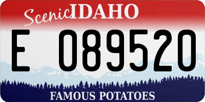 ID license plate E089520