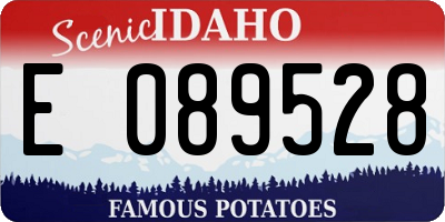 ID license plate E089528
