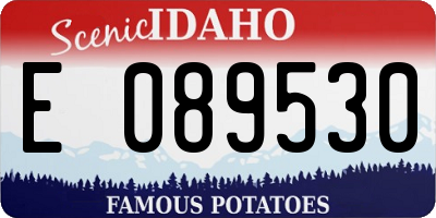 ID license plate E089530