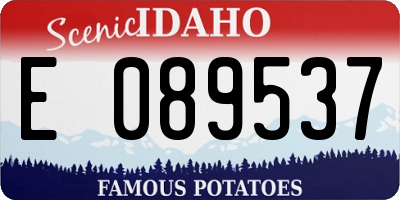 ID license plate E089537