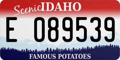 ID license plate E089539