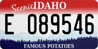 ID license plate E089546