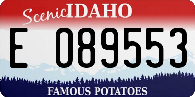 ID license plate E089553