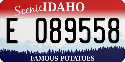 ID license plate E089558