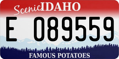 ID license plate E089559