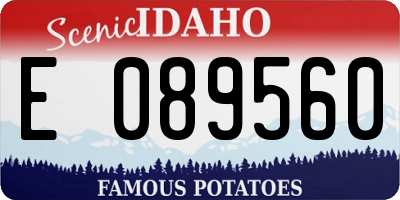 ID license plate E089560