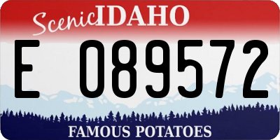 ID license plate E089572