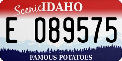 ID license plate E089575