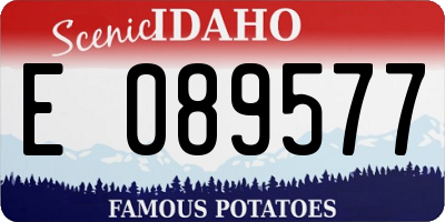 ID license plate E089577