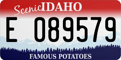 ID license plate E089579