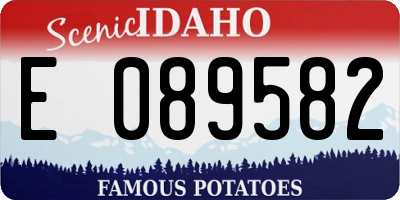 ID license plate E089582