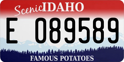 ID license plate E089589