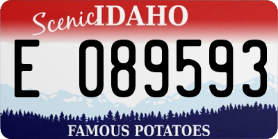 ID license plate E089593