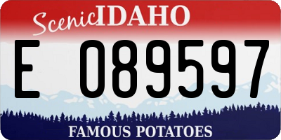 ID license plate E089597