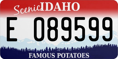 ID license plate E089599