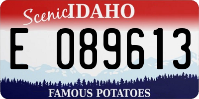 ID license plate E089613