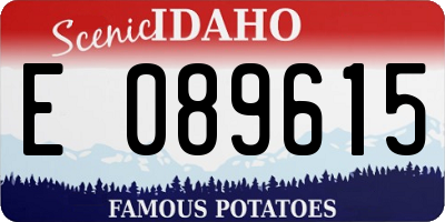 ID license plate E089615