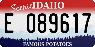 ID license plate E089617
