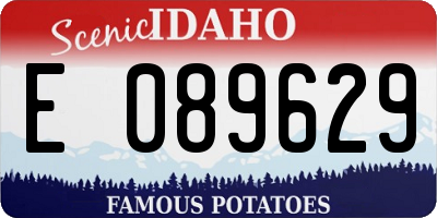 ID license plate E089629