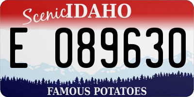 ID license plate E089630