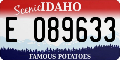 ID license plate E089633