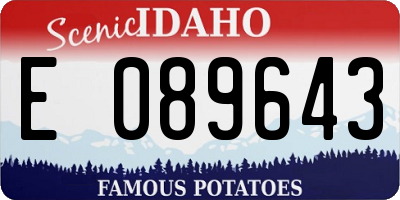 ID license plate E089643