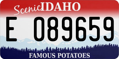 ID license plate E089659