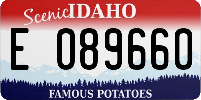 ID license plate E089660