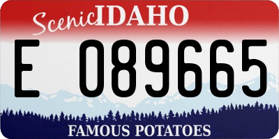 ID license plate E089665