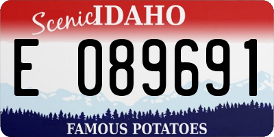 ID license plate E089691