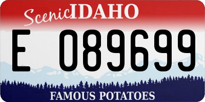 ID license plate E089699