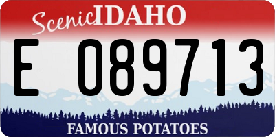 ID license plate E089713