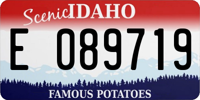 ID license plate E089719