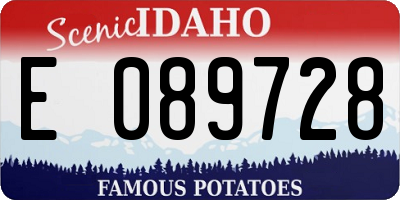 ID license plate E089728
