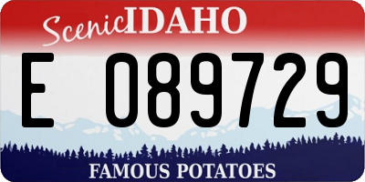 ID license plate E089729