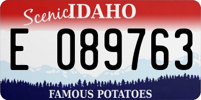 ID license plate E089763