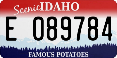 ID license plate E089784