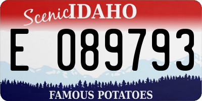 ID license plate E089793