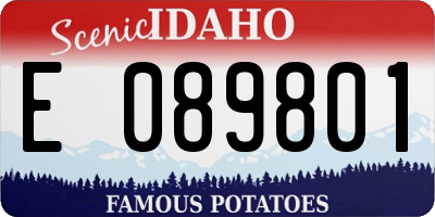 ID license plate E089801