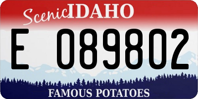 ID license plate E089802