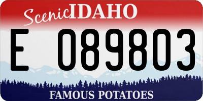 ID license plate E089803