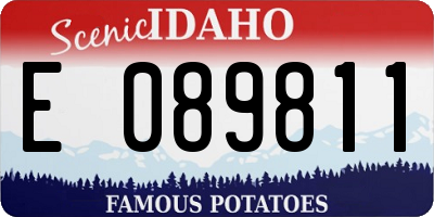 ID license plate E089811