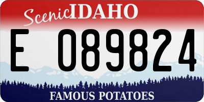 ID license plate E089824