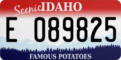 ID license plate E089825