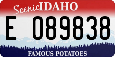 ID license plate E089838