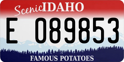 ID license plate E089853