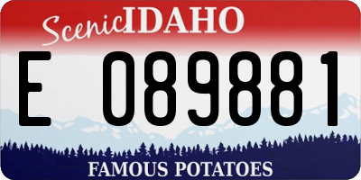 ID license plate E089881