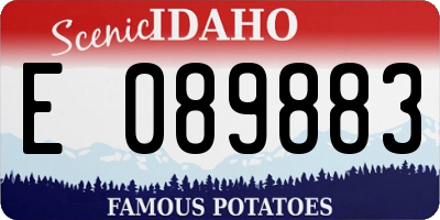ID license plate E089883
